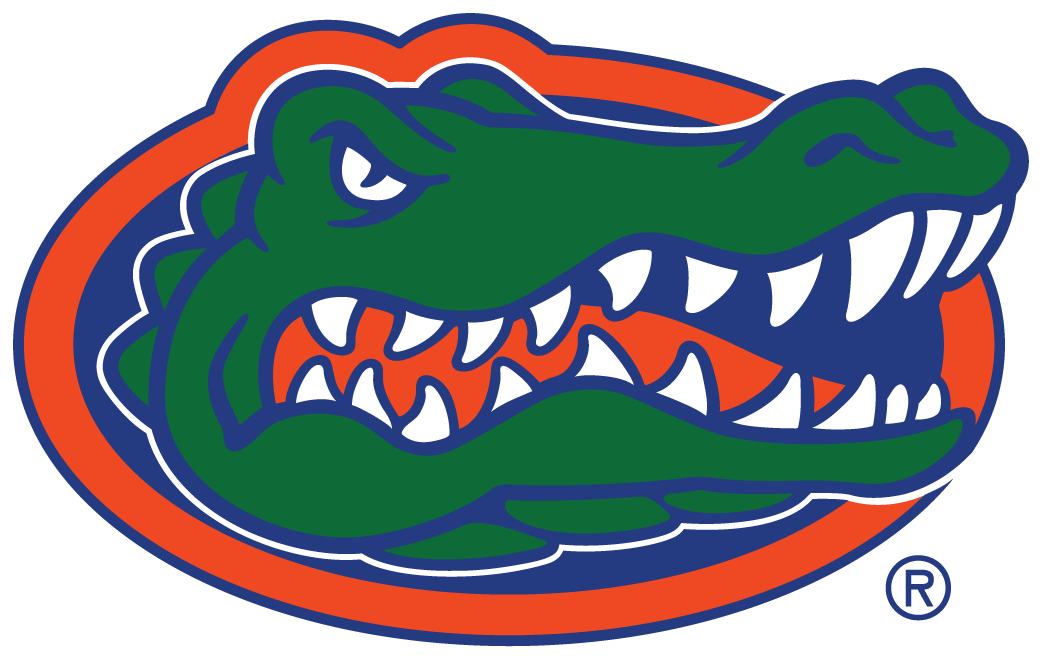 Florida Gators 2013-Pres Primary Logo diy fabric transfer